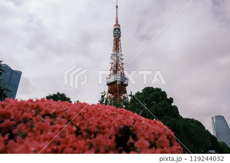 【#東京】東京タワー 119244032