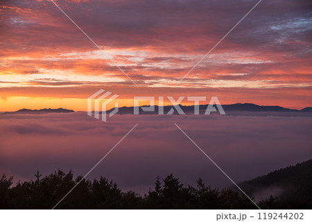 鷹狩山展望台からの夜明け 鷹狩山展望台からの夜明け 119244202