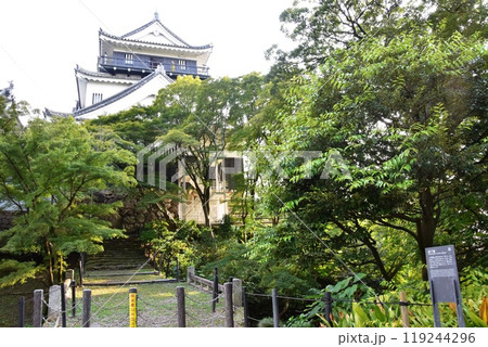 愛知県 岡崎公園の岡崎城天守閣と廊下橋 愛知県 岡崎公園の岡崎城天守閣と廊下橋 119244296
