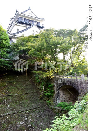 愛知県 岡崎公園の岡崎城と廊下橋と空堀(清海堀) 愛知県 岡崎公園の岡崎城と廊下橋と空堀(清海堀) 119244297