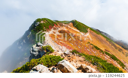 秋の唐松岳登山(丸山~山頂) 秋の唐松岳登山(丸山~山頂) 119244625