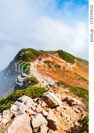 秋の唐松岳登山(丸山~山頂) 秋の唐松岳登山(丸山~山頂) 119244682