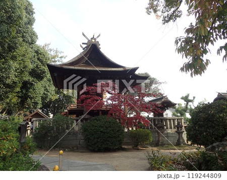 倉敷の総鎮守で、倉敷美観地区の北側にある鶴形山の山頂にあり、磐境、磐座と言う石組が多く残る阿智神社 119244809
