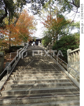 倉敷の総鎮守で、倉敷美観地区の北側にある鶴形山の山頂にあり、磐境、磐座と言う石組が多く残る阿智神社 119244835