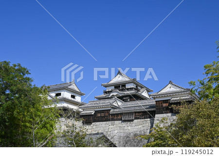 松山城(現存12天守) 松山城(現存12天守) 119245012