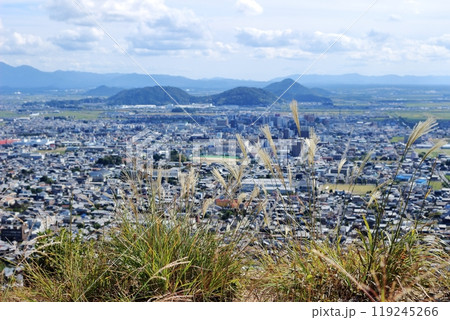 近江八幡山城の出丸跡のすすき越しに見る近江八幡市の風景 119245266