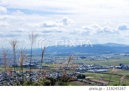 近江八幡山城の出丸跡のすすき越しに見る近江八幡市の風景 119245267