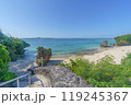 沖縄のビーチ 119245367