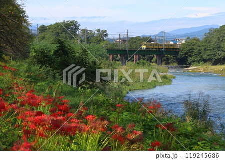入間川遊歩道のヒガンバナと西武池袋線2000系電車（埼玉県狭山市） 119245686
