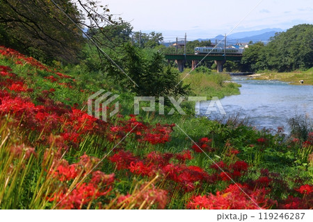 入間川遊歩道のヒガンバナと西武池袋線特急ちちぶ号（埼玉県狭山市） 119246287