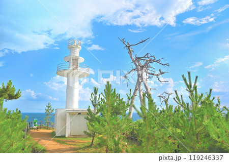 東北・気仙沼大島・龍舞崎・先端のランドマーク、陸前大島灯台(7) 119246337