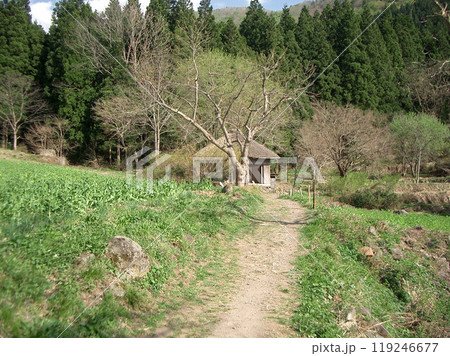 阿弥陀堂だより（長野県飯山市瑞穂） 119246677