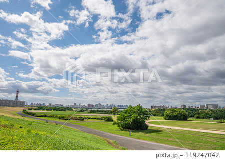 淀川河川公園風景　外島地区　守口市 119247042