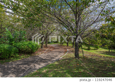淀川河川公園守口地区 守口市 淀川河川公園守口地区 守口市 119247046