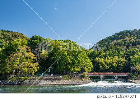 宇治公園塔の島からの観流橋の眺め 京都府宇治市 宇治公園塔の島からの観流橋の眺め 京都府宇治市 119247071