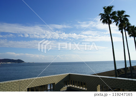 逗子市 小坪海浜公園 逗子市 小坪海浜公園 119247165
