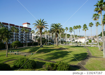 逗子市　小坪海浜公園 119247167