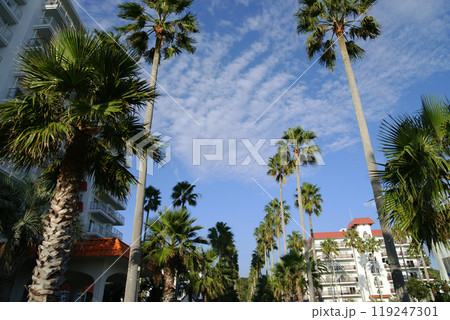 逗子マリーナの景観 119247301