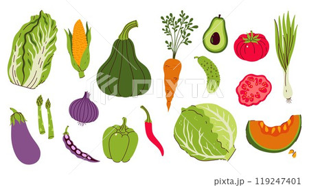 Set of different vegetables isolate on white background. Vector graphics. 119247401