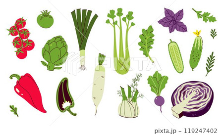 Set of different vegetables isolate on white background. Vector graphics. 119247402