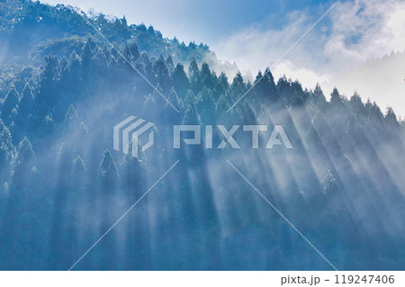 朝もやの一乗谷朝倉氏遺跡 朝もやの一乗谷朝倉氏遺跡 119247406