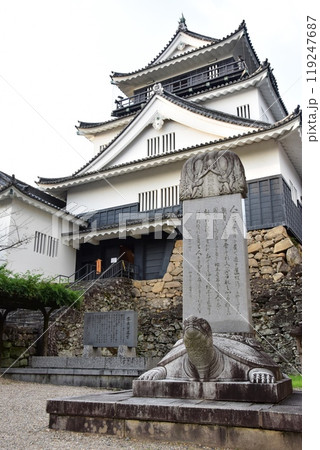 愛知県 岡崎公園の岡崎城天守閣 愛知県 岡崎公園の岡崎城天守閣 119247687
