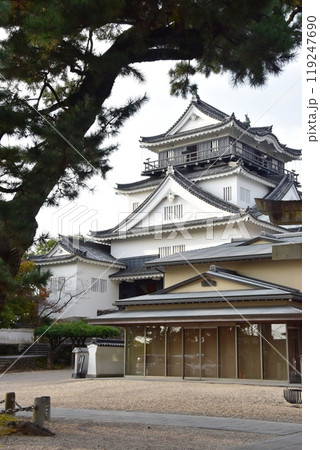 愛知県　岡崎公園の岡崎城天守閣 119247690