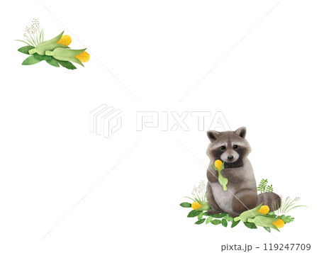 アライグマの背景　B-1 119247709