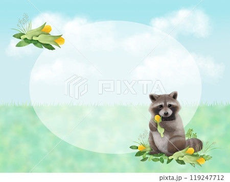 アライグマの背景　B-4 119247712
