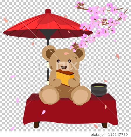 お花見をしながらカステラとお抹茶をいただくクマのぬいぐるみのイラスト 119247789