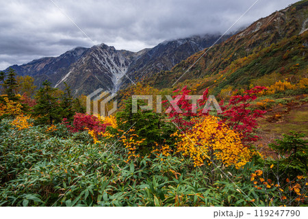 秋の栂池自然園 119247790