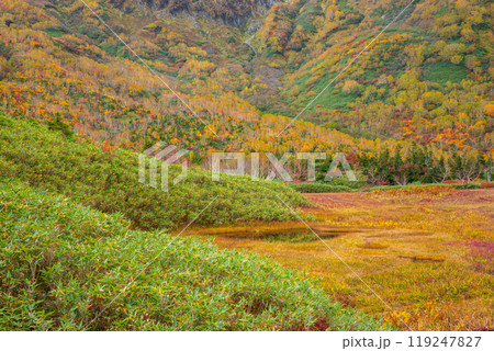 秋の栂池自然園 119247827