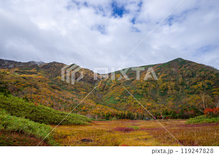 秋の栂池自然園 119247828