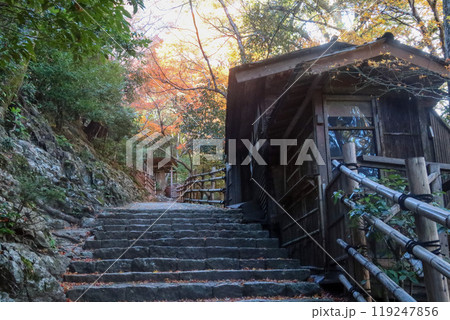 大悲閣の紅葉 大悲閣の紅葉 119247856
