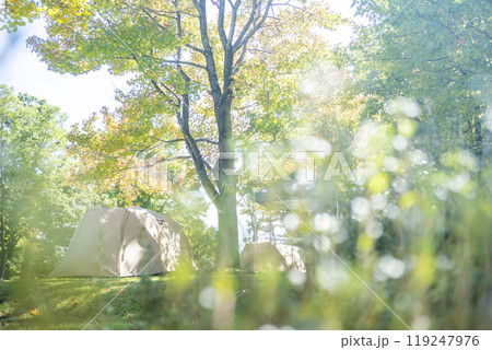 キャンプ・サイクリングのイメージ(蒜山高原) キャンプ・サイクリングのイメージ(蒜山高原) 119247976