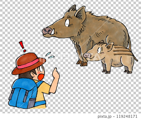 男子遭遇野豬親子 119248171