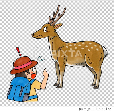 鹿に遭遇した男性のイラスト素材 [119248172] - PIXTA