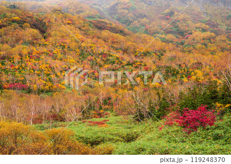 秋の栂池自然園 119248370