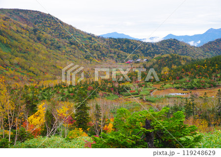 秋の栂池に囲まれる山荘 119248629
