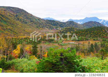 秋の栂池に囲まれる山荘 119248631