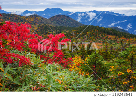秋の栂池自然園 119248641