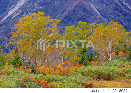 秋の栂池自然園 119248681
