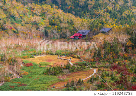 秋の栂池に囲まれる山荘 119248758