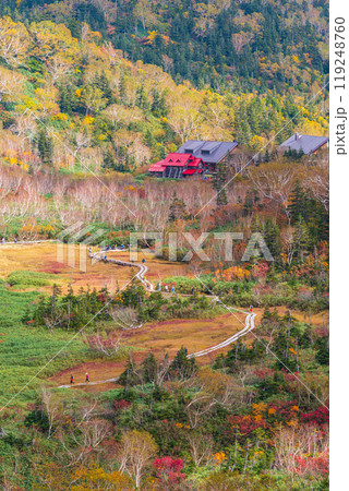 秋の栂池に囲まれる山荘 秋の栂池に囲まれる山荘 119248760
