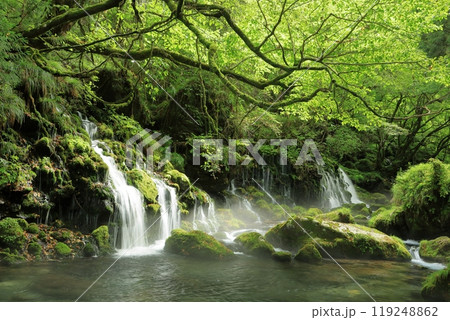 鳥海山・飛島ジオパーク　元滝伏流水の風景 119248862