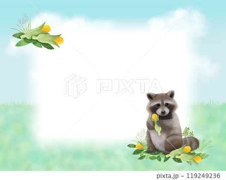 アライグマのフレーム　A 119249236