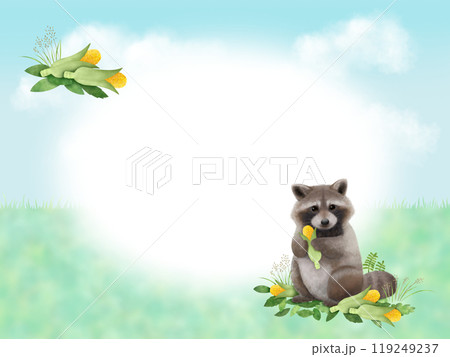 アライグマのフレーム　B 119249237