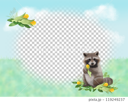 アライグマのフレーム　B 119249237