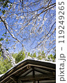 京都の青空と雪解け 119249265