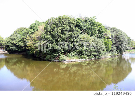 玉津王塚古墳 前方部(兵庫県 神戸市 西区) 玉津王塚古墳 前方部(兵庫県 神戸市 西区) 119249450